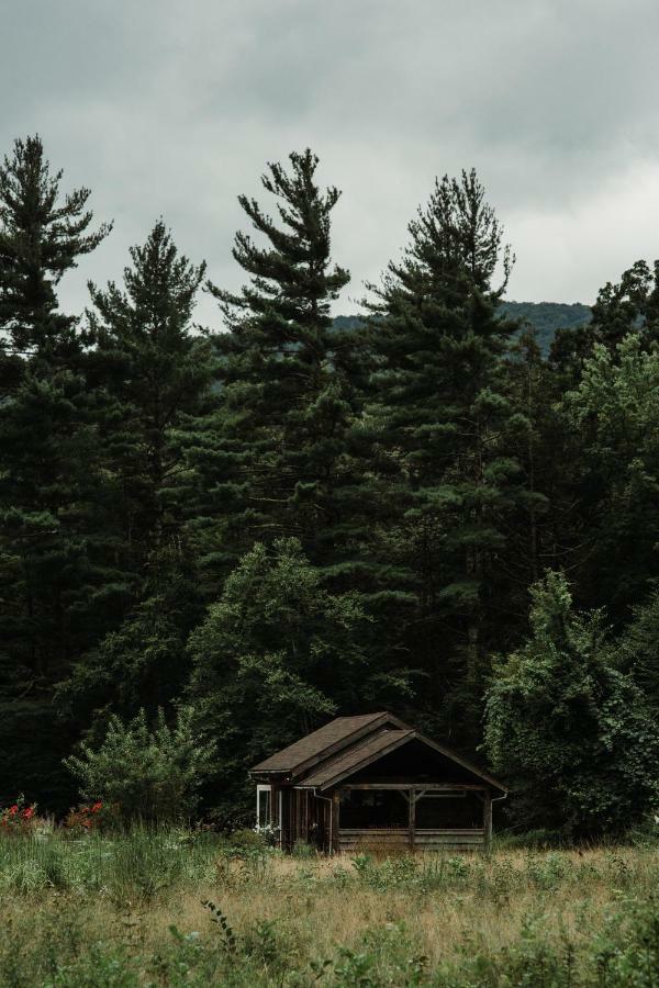 ホテルFoxfire Mountain House Mount Pleasant エクステリア 写真