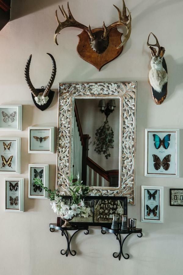 ホテルFoxfire Mountain House Mount Pleasant エクステリア 写真